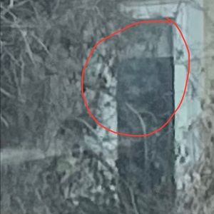 Meet your Posher, Greg